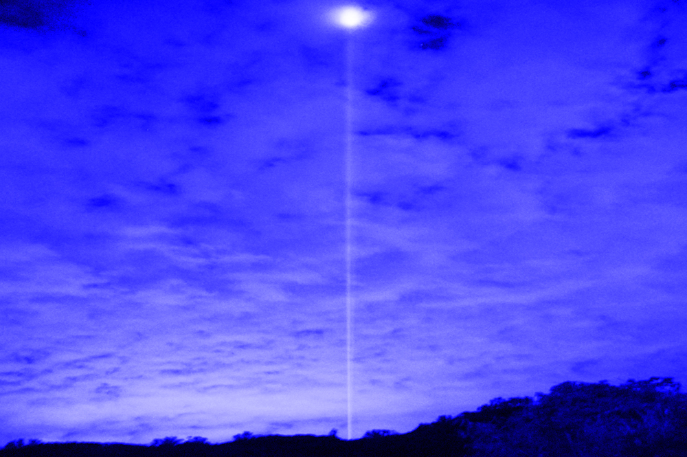 今帰仁グスク桜まつり：夜桜ライトアップ実施写真（3）／OneBit（ワンビット）& AXIZ Light（アクシーズライト）& あくち～む（照明プロデュースLighting production, 照明デザインlighting design, デジタルプログラムdigital program）