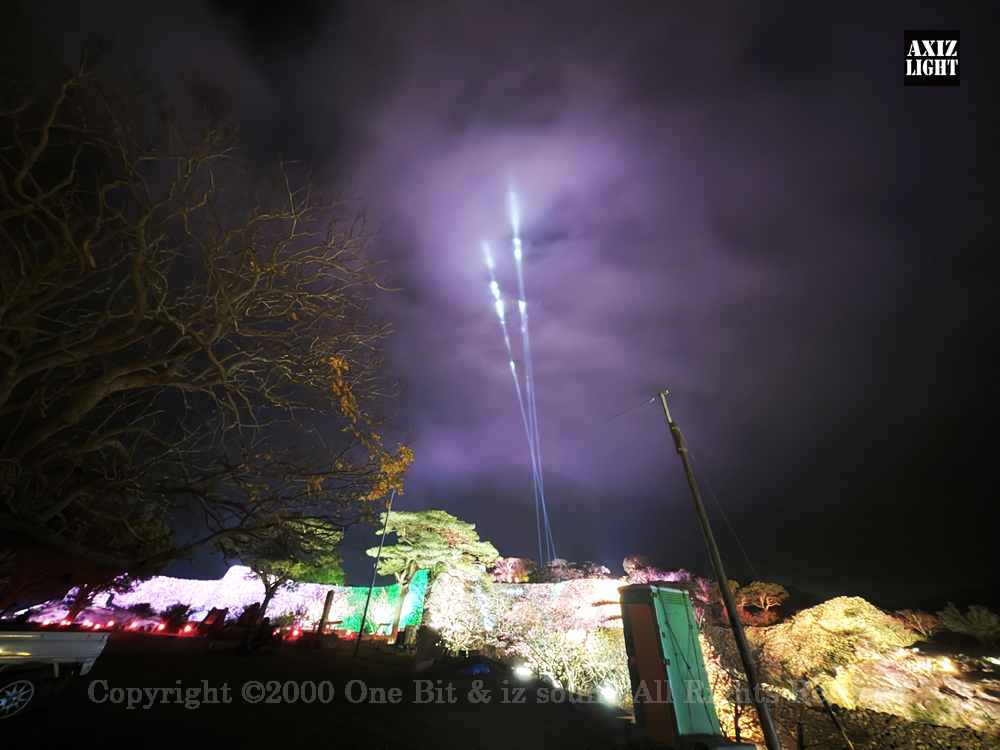 今帰仁グスク桜まつり：夜桜ライトアップ実施写真（8）／OneBit（ワンビット）& AXIZ Light（アクシーズライト）& あくち～む（照明プロデュースLighting production, 照明デザインlighting design, デジタルプログラムdigital program）