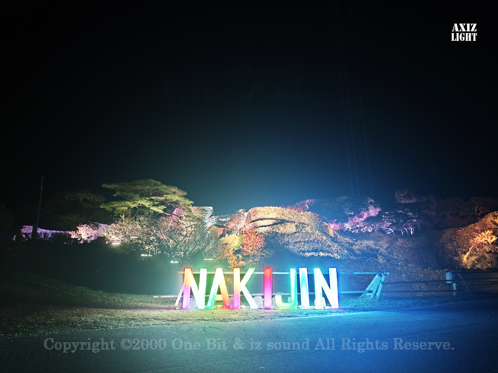 今帰仁グスク桜まつり：夜桜ライトアップ実施写真（2）／OneBit（ワンビット）& AXIZ Light（アクシーズライト）& あくち～む（照明プロデュースLighting production, 照明デザインlighting design, デジタルプログラムdigital program）