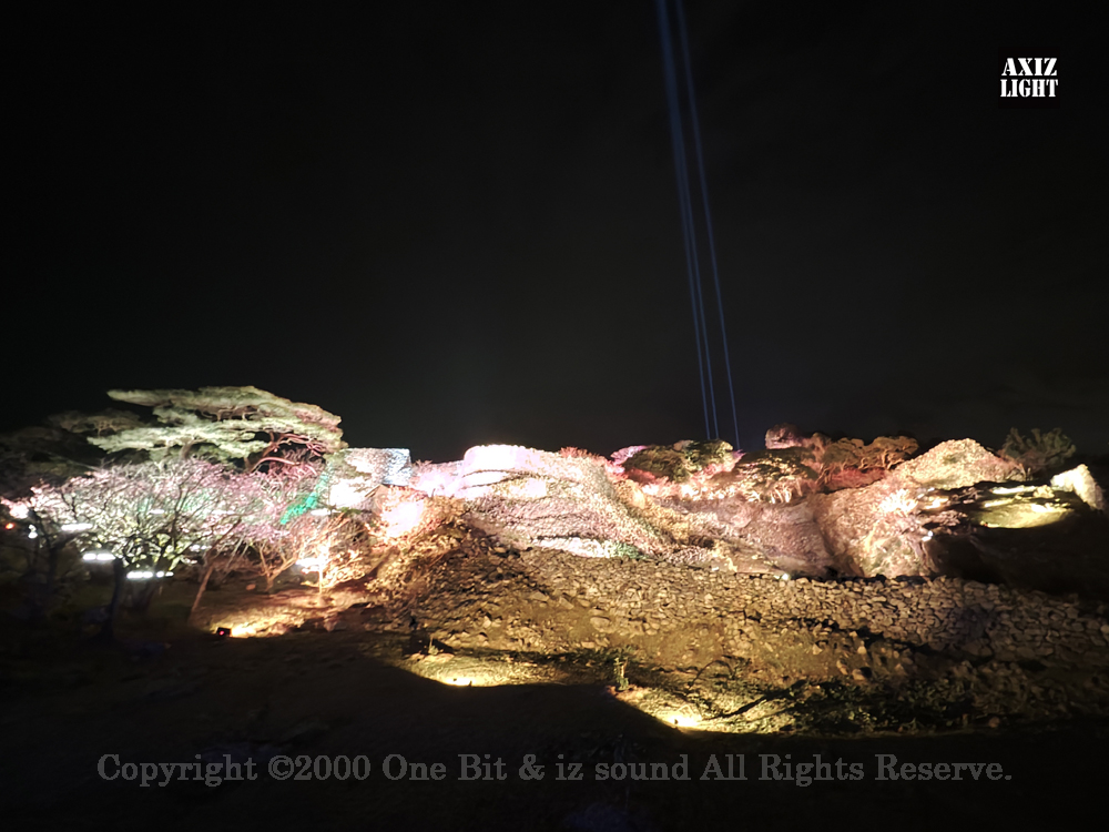 今帰仁グスク桜まつり：夜桜ライトアップ実施写真（14）／OneBit（ワンビット）& AXIZ Light（アクシーズライト）& あくち～む（照明プロデュースLighting production, 照明デザインlighting design, デジタルプログラムdigital program）