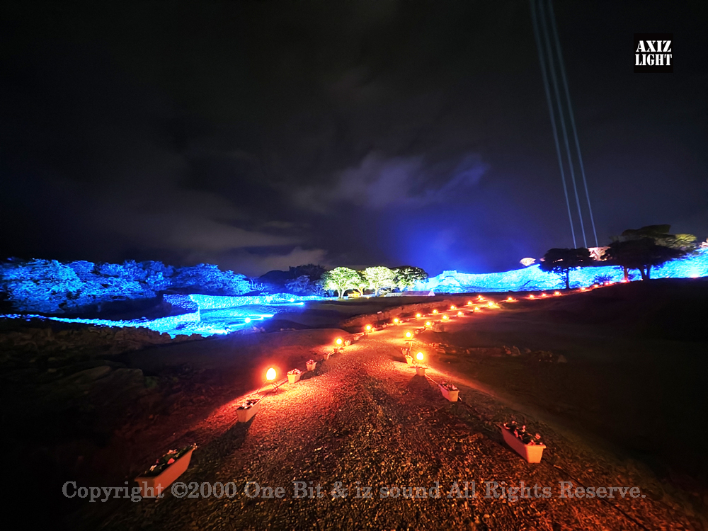 今帰仁グスク桜まつり：夜桜ライトアップ実施写真（6）／OneBit（ワンビット）& AXIZ Light（アクシーズライト）& あくち～む（照明プロデュースLighting production, 照明デザインlighting design, デジタルプログラムdigital program）