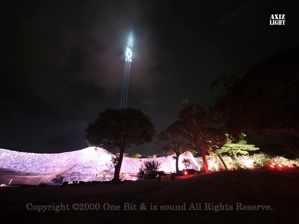 今帰仁グスク桜まつり：夜桜ライトアップ実施写真（16）／OneBit（ワンビット）& AXIZ Light（アクシーズライト）& あくち～む（照明プロデュースLighting production, 照明デザインlighting design, デジタルプログラムdigital program）