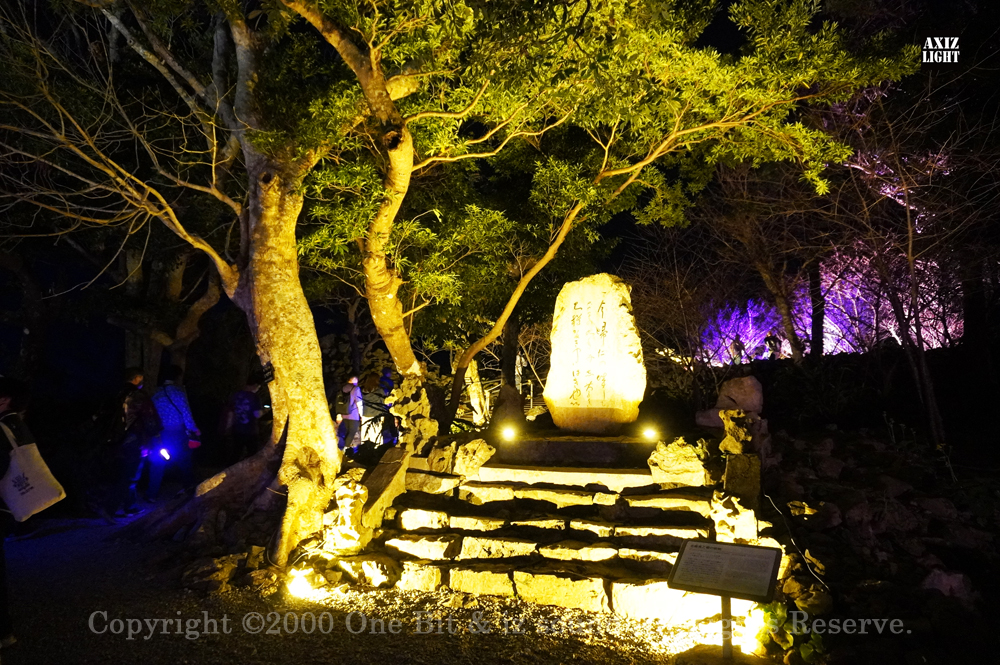 今帰仁グスク桜まつり：夜桜ライトアップ実施写真（32）／世界遺産ライトアップ・今帰仁城跡ライトアップ／OneBit（ワンビット）& AXIZ Light（アクシーズライト）& あくち～む（世界遺産照明プロデュースLighting production, 世界遺産照明デザインlighting design, 世界遺産デジタルプログラムdigital program）