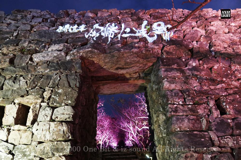 今帰仁グスク桜まつり：夜桜ライトアップ実施写真（5）／OneBit（ワンビット）& AXIZ Light（アクシーズライト）& あくち～む（照明プロデュースLighting production, 照明デザインlighting design, デジタルプログラムdigital program）