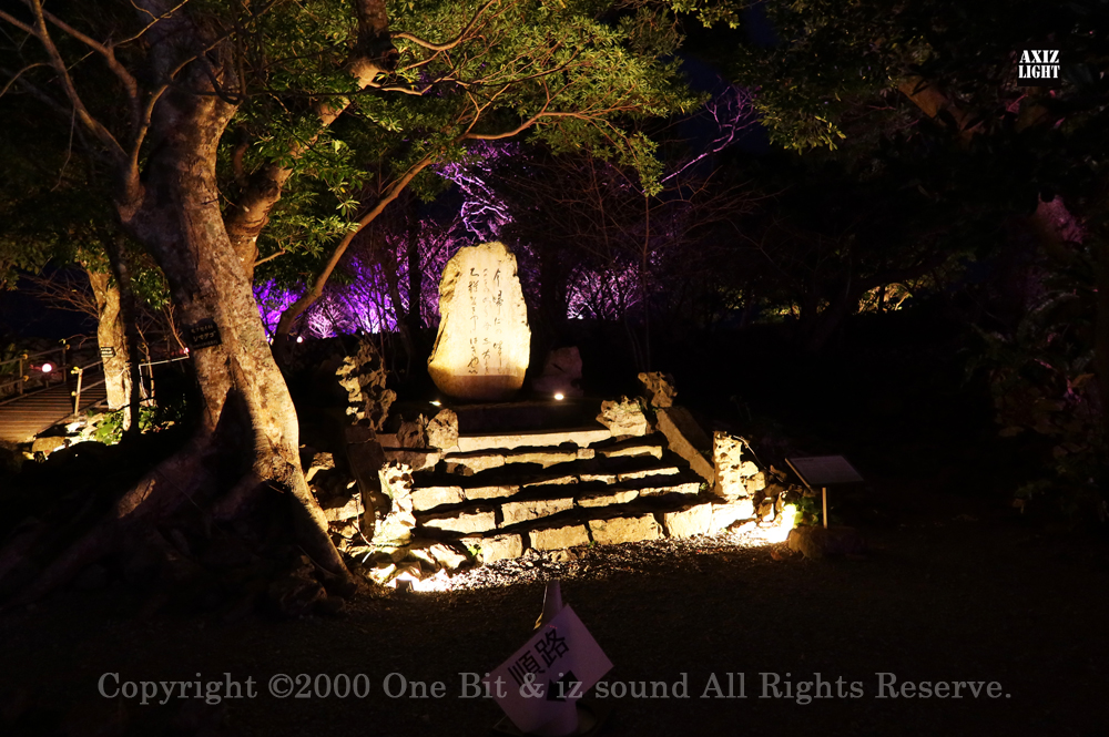 今帰仁グスク桜まつり：夜桜ライトアップ実施写真（19）／OneBit（ワンビット）& AXIZ Light（アクシーズライト）& あくち～む（照明プロデュースLighting production, 照明デザインlighting design, デジタルプログラムdigital program）