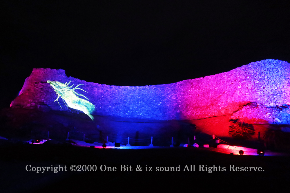 今帰仁グスク桜まつり：夜桜ライトアップ実施写真（1）／OneBit（ワンビット）& AXIZ Light（アクシーズライト）& あくち～む（照明プロデュースLighting production, 照明デザインlighting design, デジタルプログラムdigital program）
