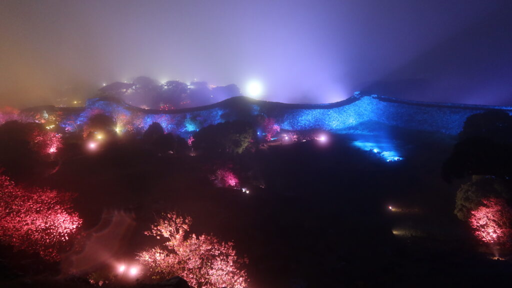 今帰仁グスク桜まつり：夜桜ライトアップ実施写真（4）／OneBit（ワンビット）& AXIZ Light（アクシーズライト）& あくち～む（照明プロデュースLighting production, 照明デザインlighting design, デジタルプログラムdigital program）
