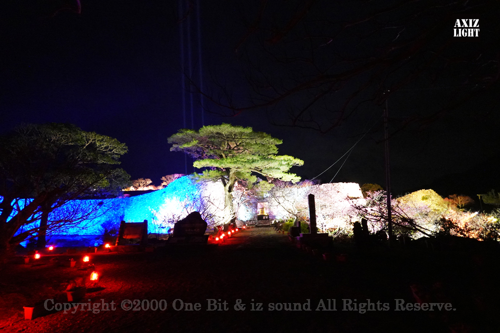 今帰仁グスク桜まつり：夜桜ライトアップ実施写真（69）／世界遺産ライトアップ・今帰仁城跡ライトアップ／OneBit（ワンビット）& AXIZ Light（アクシーズライト）& あくち～む（世界遺産照明プロデュースLighting production, 世界遺産照明デザインlighting design, 世界遺産デジタルプログラムdigital program）