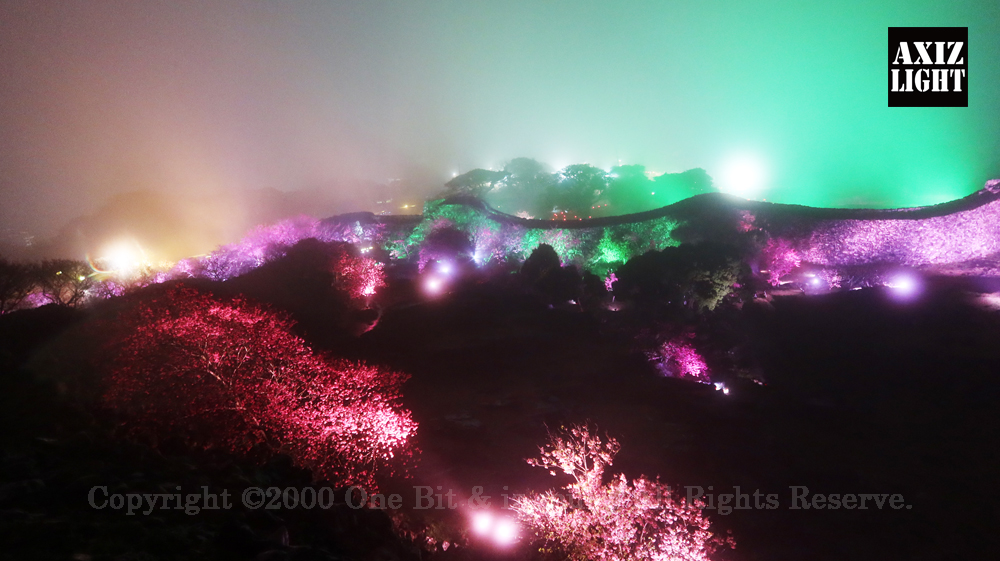 今帰仁グスク桜まつり：夜桜ライトアップ実施写真（57）／世界遺産ライトアップ・今帰仁城跡ライトアップ／OneBit（ワンビット）& AXIZ Light（アクシーズライト）& あくち～む（世界遺産照明プロデュースLighting production, 世界遺産照明デザインlighting design, 世界遺産デジタルプログラムdigital program）