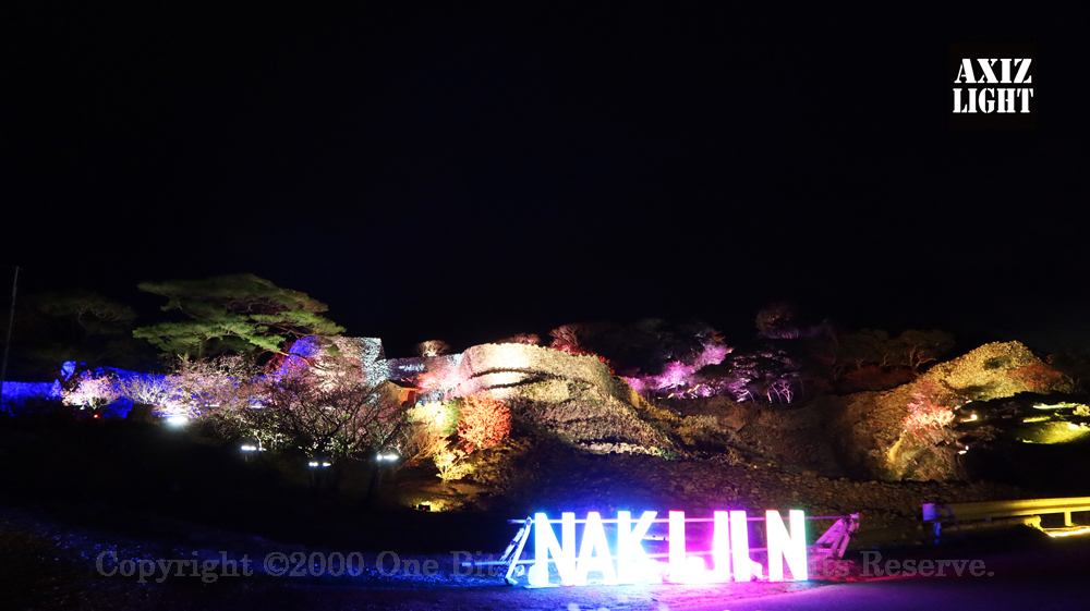 今帰仁グスク桜まつり：夜桜ライトアップ実施写真（54）／世界遺産ライトアップ・今帰仁城跡ライトアップ／OneBit（ワンビット）& AXIZ Light（アクシーズライト）& あくち～む（世界遺産照明プロデュースLighting production, 世界遺産照明デザインlighting design, 世界遺産デジタルプログラムdigital program）