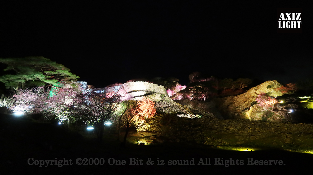 今帰仁グスク桜まつり：夜桜ライトアップ実施写真（56）／世界遺産ライトアップ・今帰仁城跡ライトアップ／OneBit（ワンビット）& AXIZ Light（アクシーズライト）& あくち～む（世界遺産照明プロデュースLighting production, 世界遺産照明デザインlighting design, 世界遺産デジタルプログラムdigital program）