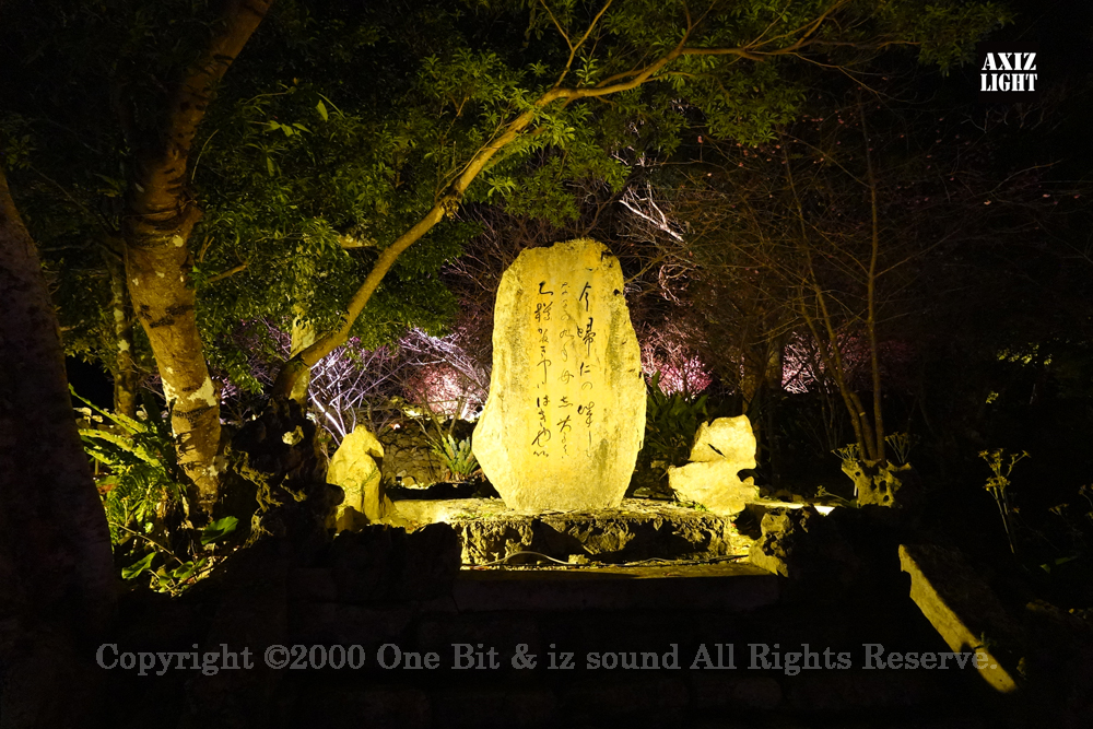 今帰仁グスク桜まつり：夜桜ライトアップ実施写真（66）／世界遺産ライトアップ・今帰仁城跡ライトアップ／OneBit（ワンビット）& AXIZ Light（アクシーズライト）& あくち～む（世界遺産照明プロデュースLighting production, 世界遺産照明デザインlighting design, 世界遺産デジタルプログラムdigital program）