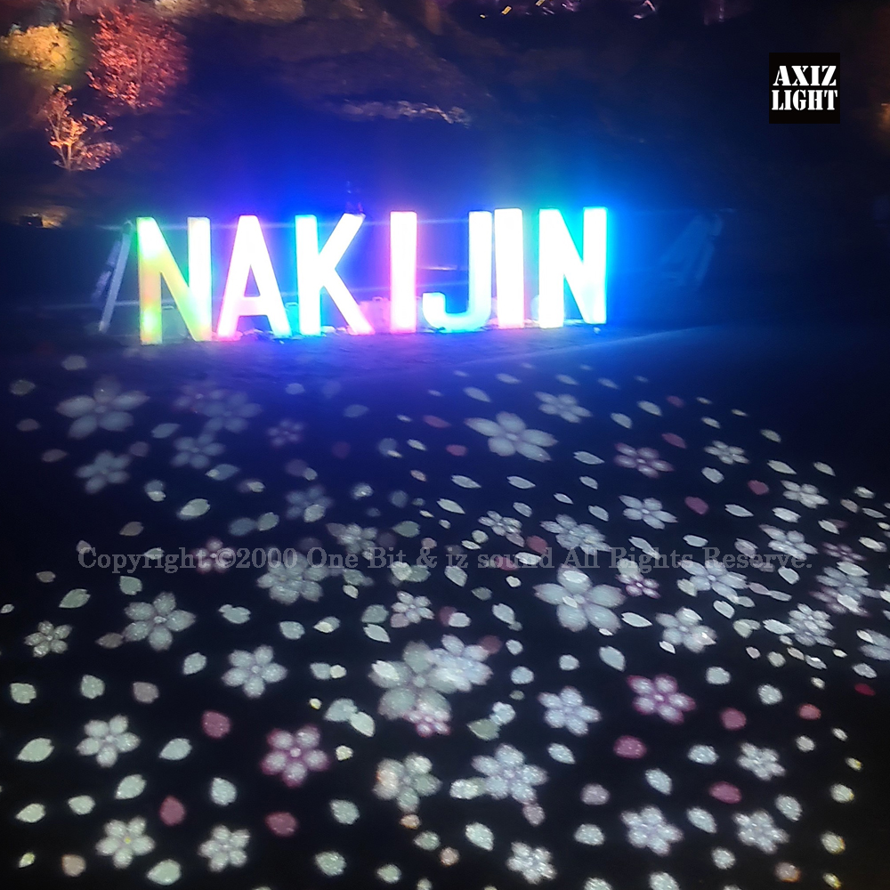 今帰仁グスク桜まつり：夜桜ライトアップ実施写真（64）／世界遺産ライトアップ・今帰仁城跡ライトアップ／OneBit（ワンビット）& AXIZ Light（アクシーズライト）& あくち～む（世界遺産照明プロデュースLighting production, 世界遺産照明デザインlighting design, 世界遺産デジタルプログラムdigital program）