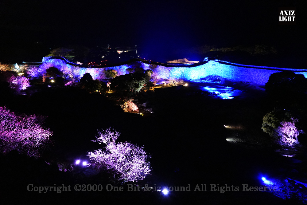 今帰仁グスク桜まつり：夜桜ライトアップ実施写真（68）／世界遺産ライトアップ・今帰仁城跡ライトアップ／OneBit（ワンビット）& AXIZ Light（アクシーズライト）& あくち～む（世界遺産照明プロデュースLighting production, 世界遺産照明デザインlighting design, 世界遺産デジタルプログラムdigital program）