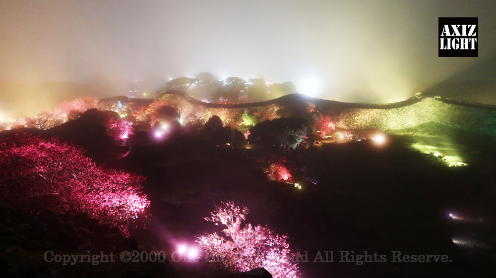 今帰仁グスク桜まつり：夜桜ライトアップ実施写真（39）／世界遺産ライトアップ・今帰仁城跡ライトアップ／OneBit（ワンビット）& AXIZ Light（アクシーズライト）& あくち～む（世界遺産照明プロデュースLighting production, 世界遺産照明デザインlighting design, 世界遺産デジタルプログラムdigital program）