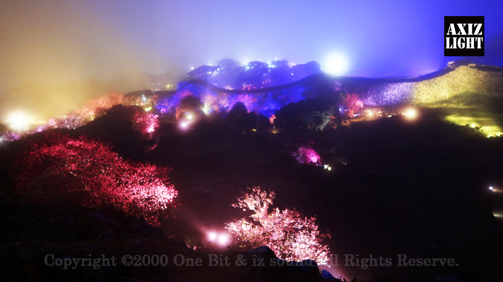 今帰仁グスク桜まつり：夜桜ライトアップ実施写真（44）／世界遺産ライトアップ・今帰仁城跡ライトアップ／OneBit（ワンビット）& AXIZ Light（アクシーズライト）& あくち～む（世界遺産照明プロデュースLighting production, 世界遺産照明デザインlighting design, 世界遺産デジタルプログラムdigital program）
