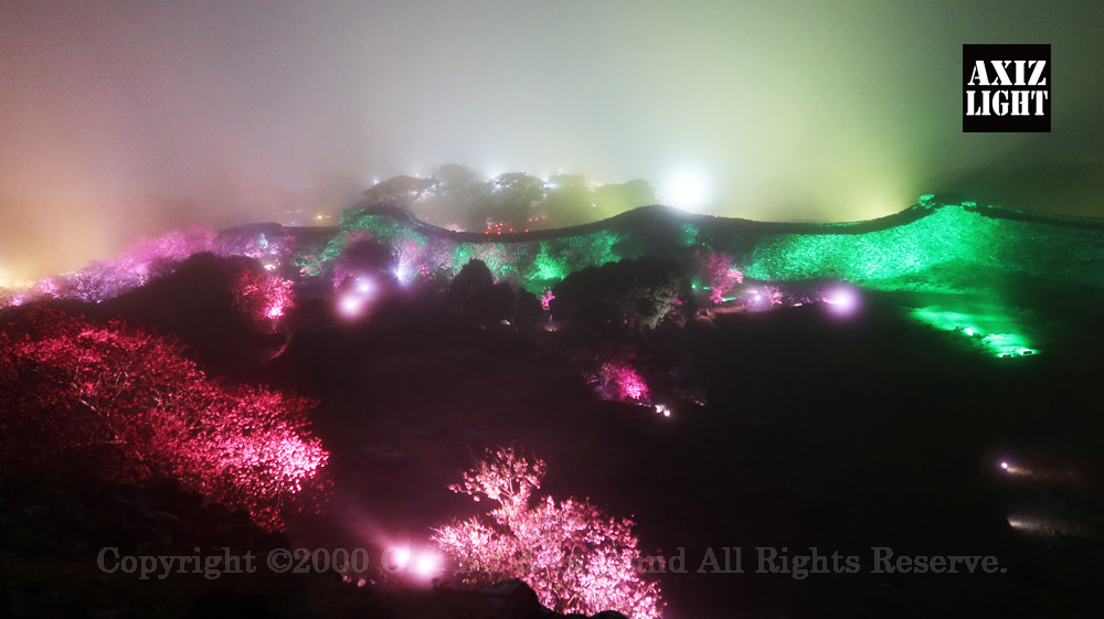 今帰仁グスク桜まつり：夜桜ライトアップ実施写真（46）／世界遺産ライトアップ・今帰仁城跡ライトアップ／OneBit（ワンビット）& AXIZ Light（アクシーズライト）& あくち～む（世界遺産照明プロデュースLighting production, 世界遺産照明デザインlighting design, 世界遺産デジタルプログラムdigital program）