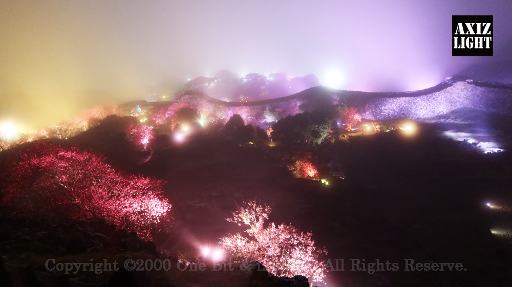 今帰仁グスク桜まつり：夜桜ライトアップ実施写真（53）／世界遺産ライトアップ・今帰仁城跡ライトアップ／OneBit（ワンビット）& AXIZ Light（アクシーズライト）& あくち～む（世界遺産照明プロデュースLighting production, 世界遺産照明デザインlighting design, 世界遺産デジタルプログラムdigital program）