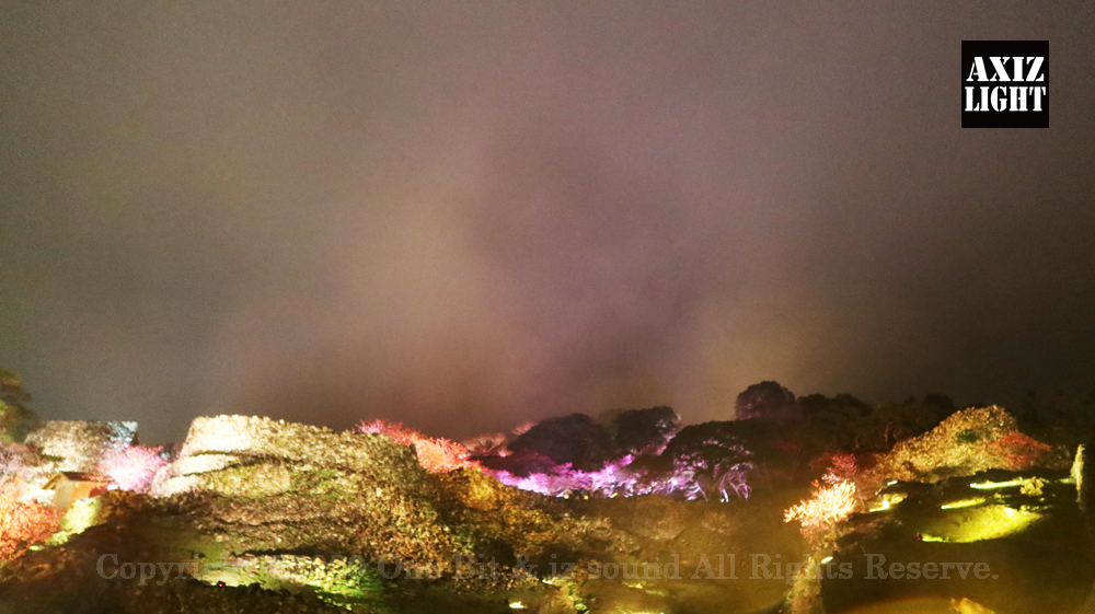 今帰仁グスク桜まつり：夜桜ライトアップ実施写真（52）／世界遺産ライトアップ・今帰仁城跡ライトアップ／OneBit（ワンビット）& AXIZ Light（アクシーズライト）& あくち～む（世界遺産照明プロデュースLighting production, 世界遺産照明デザインlighting design, 世界遺産デジタルプログラムdigital program）