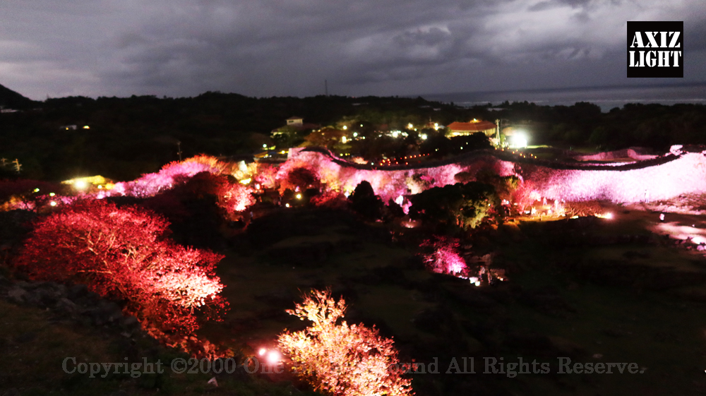 今帰仁グスク桜まつり：夜桜ライトアップ実施写真（70）／世界遺産ライトアップ・今帰仁城跡ライトアップ／OneBit（ワンビット）& AXIZ Light（アクシーズライト）& あくち～む（世界遺産照明プロデュースLighting production, 世界遺産照明デザインlighting design, 世界遺産デジタルプログラムdigital program）